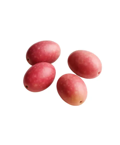 Whole Black Olive